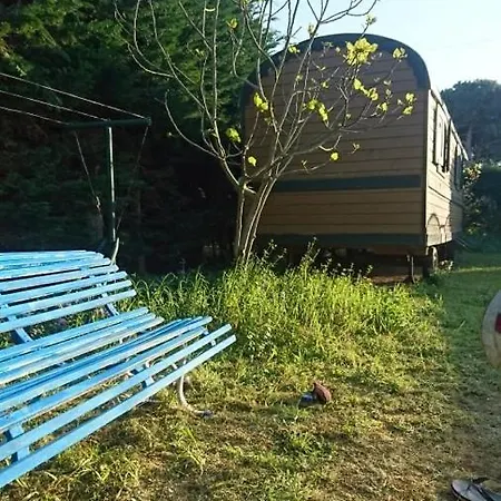 Les Roulottes Du Paradis *